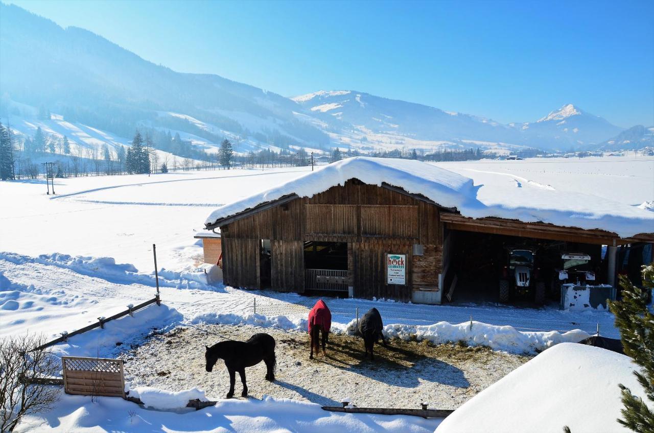 Kleintoedlinggut Villa Leogang Eksteriør bilde