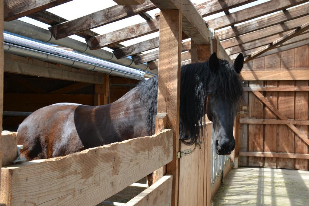 Kleintoedlinggut Villa Leogang Eksteriør bilde